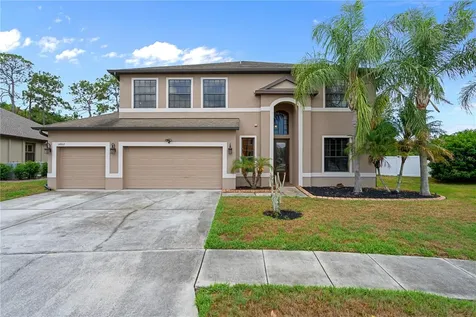 14807 Princewood Lane Land O Lakes FL 34638