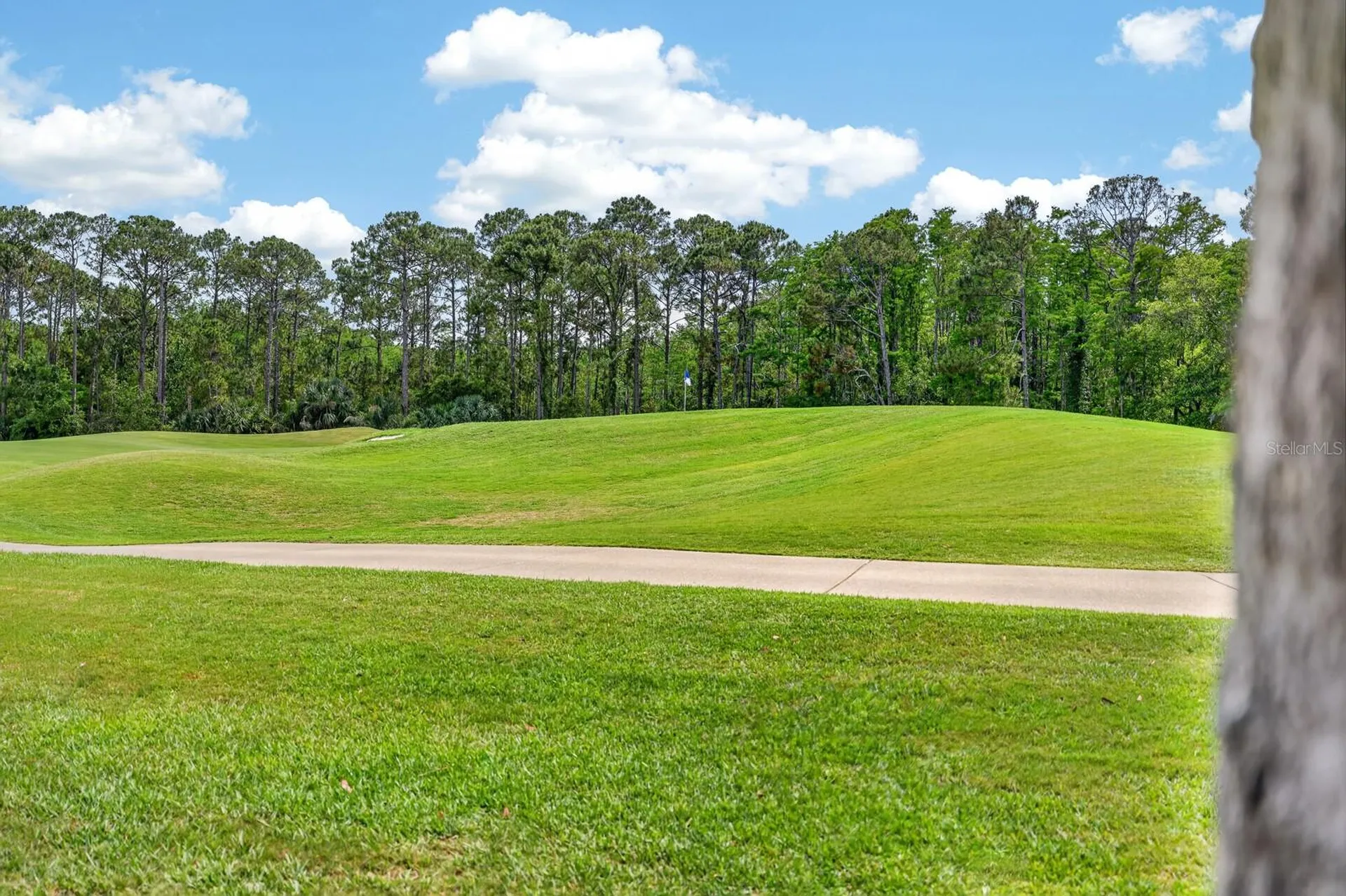 41 Bay Pointe Drive Ormond Beach FL 32174