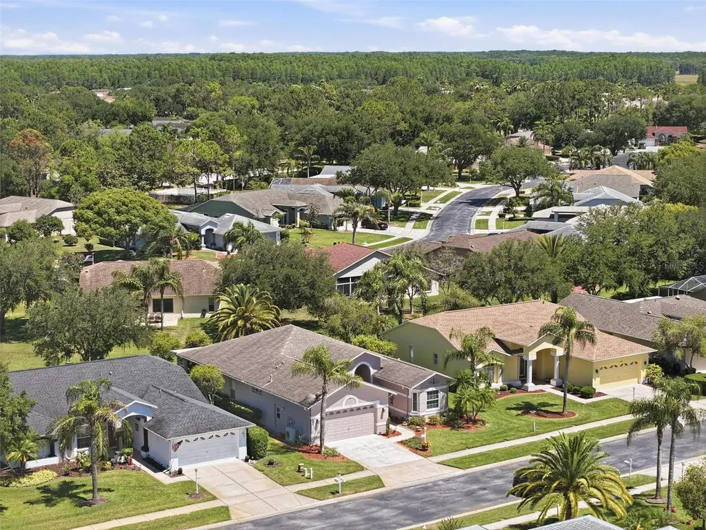 1430 Canberley Court Trinity FL 34655