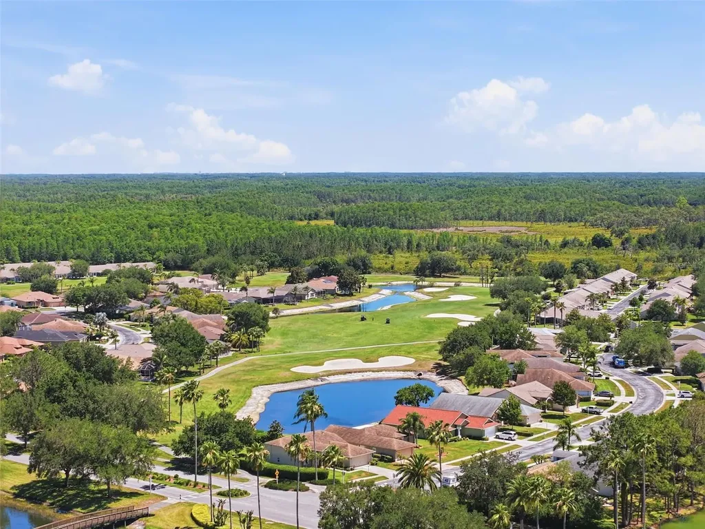1430 Canberley Court Trinity FL 34655