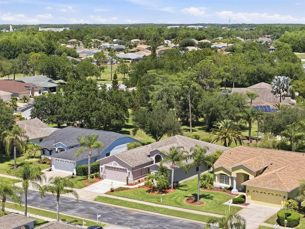 1430 Canberley Court Trinity FL 34655