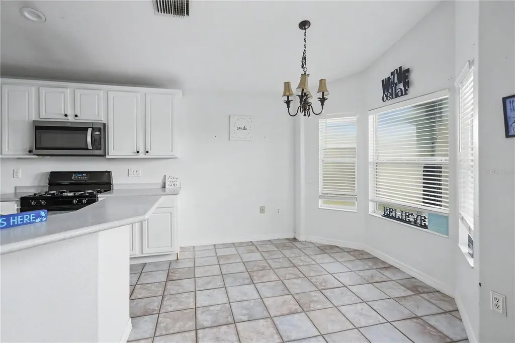 10424 Stonepark Drive Leesburg FL 34788