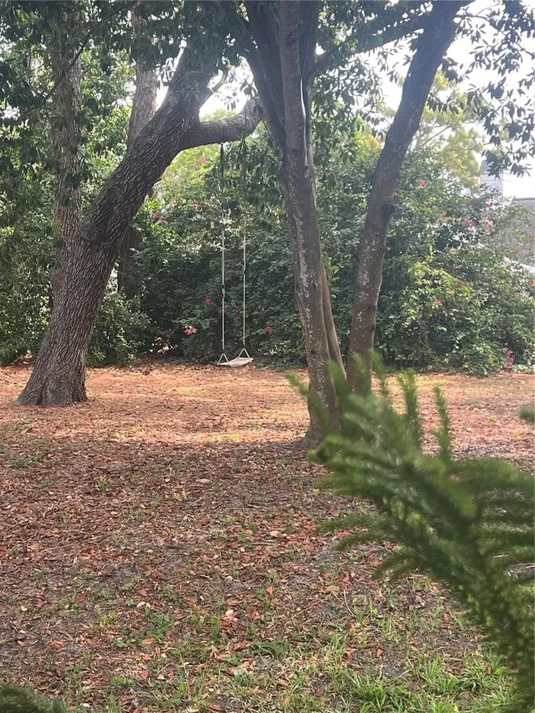 4443 Glenbrook Lane Palm Harbor FL 34683
