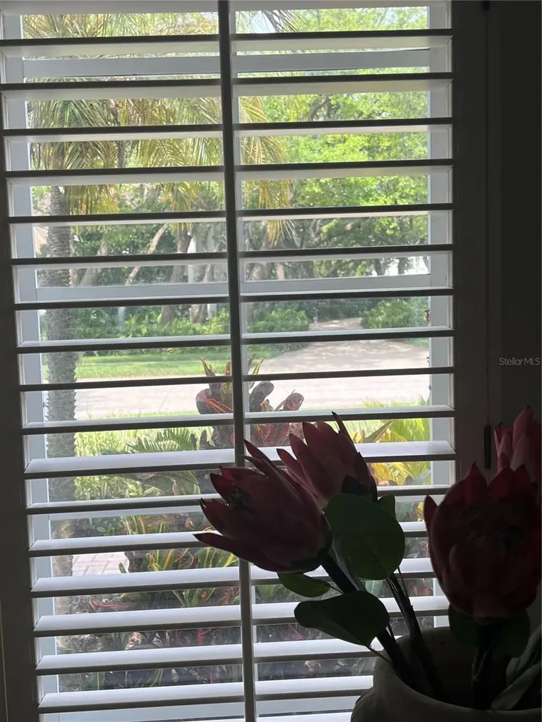 4443 Glenbrook Lane Palm Harbor FL 34683