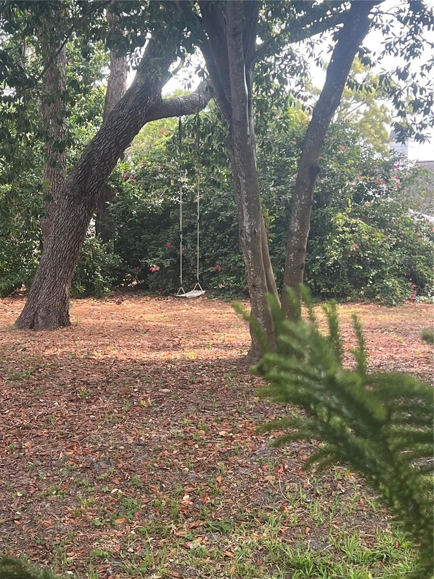 4443 Glenbrook Lane Palm Harbor FL 34683