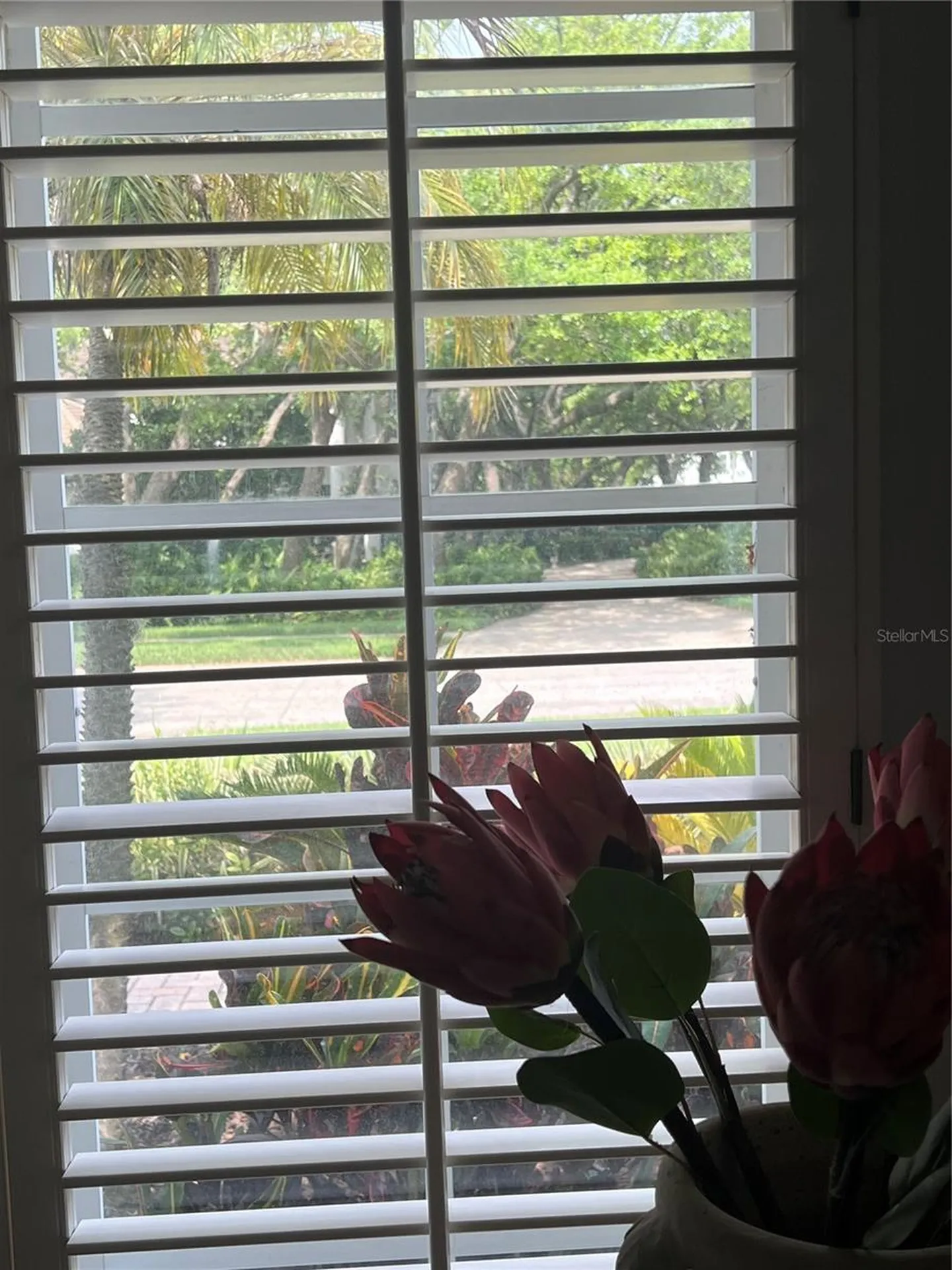 4443 Glenbrook Lane Palm Harbor FL 34683