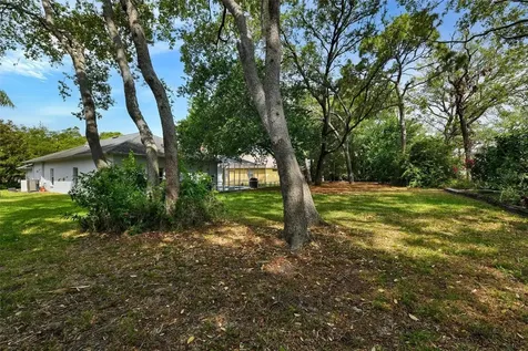 4443 Glenbrook Lane Palm Harbor FL 34683