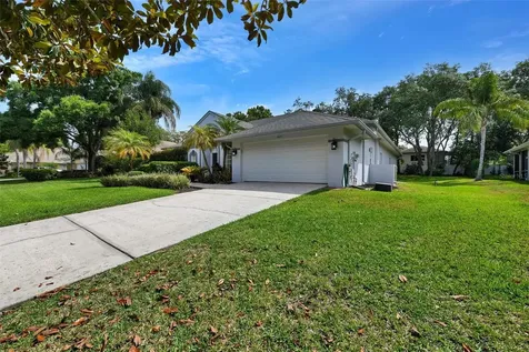 4443 Glenbrook Lane Palm Harbor FL 34683