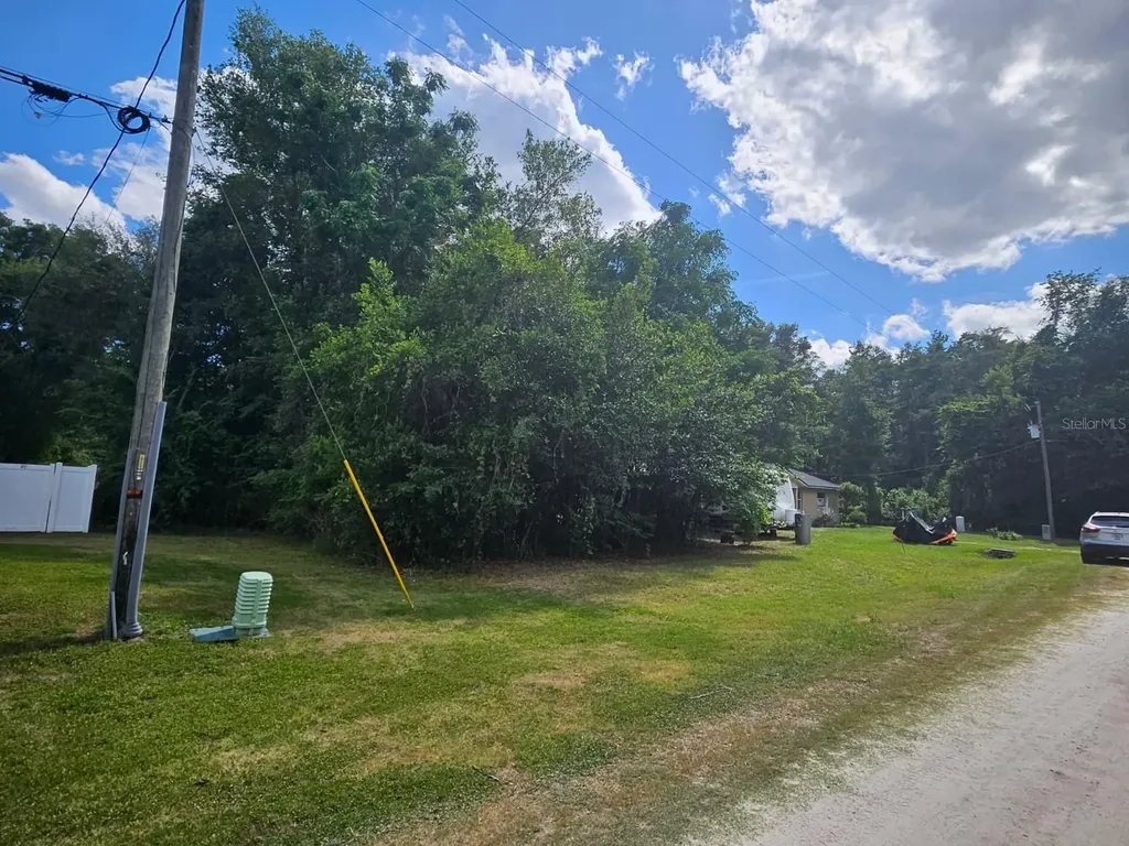 SE 140th Lane Summerfield FL 34491