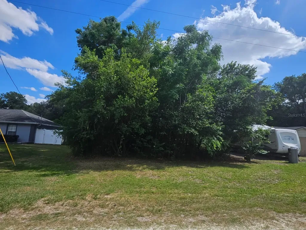 SE 140th Lane Summerfield FL 34491