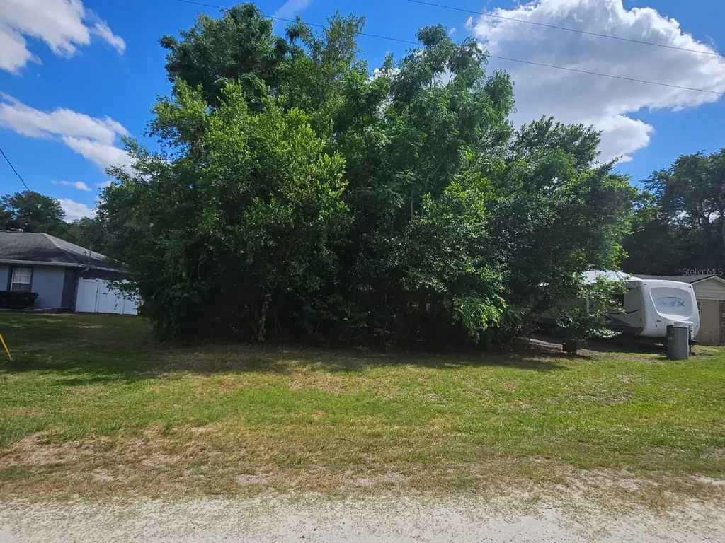 SE 140th Lane Summerfield FL 34491