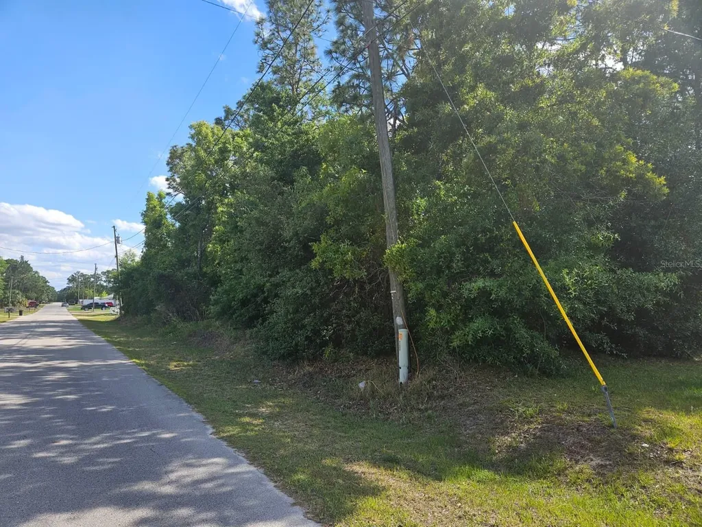 SE 89th Terrace Belleview FL 34420