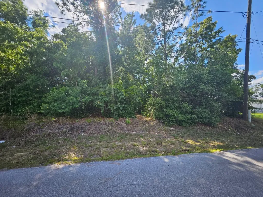 SE 89th Terrace Belleview FL 34420