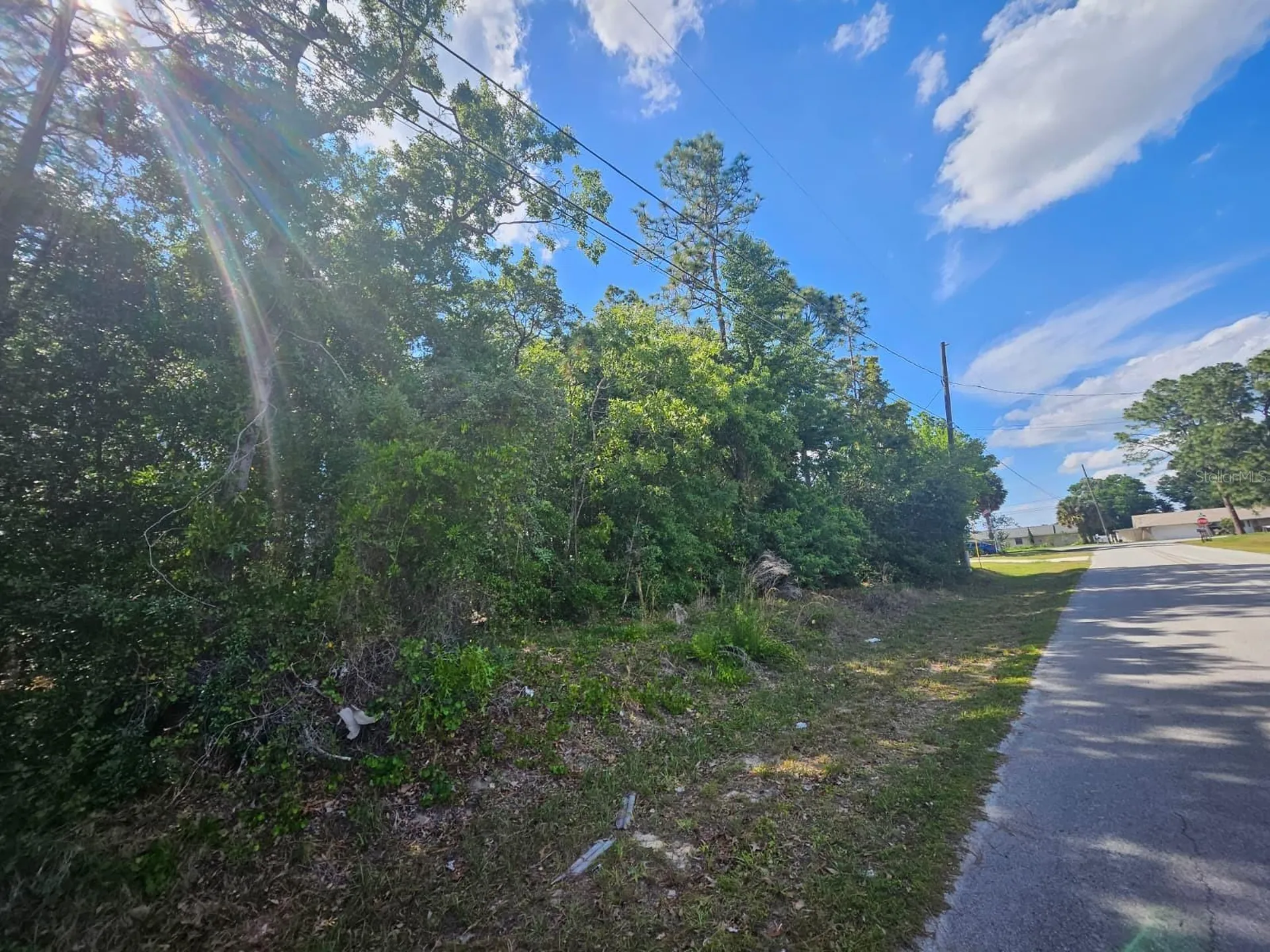SE 89th Terrace Belleview FL 34420