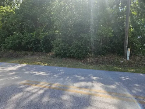 SE 89th Terrace Belleview FL 34420