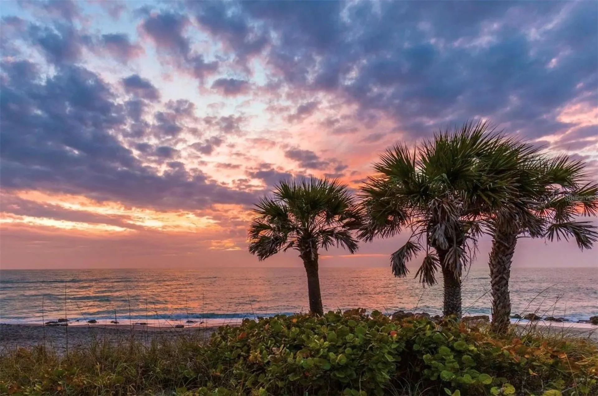 754 Pine Run Drive Osprey FL 34229
