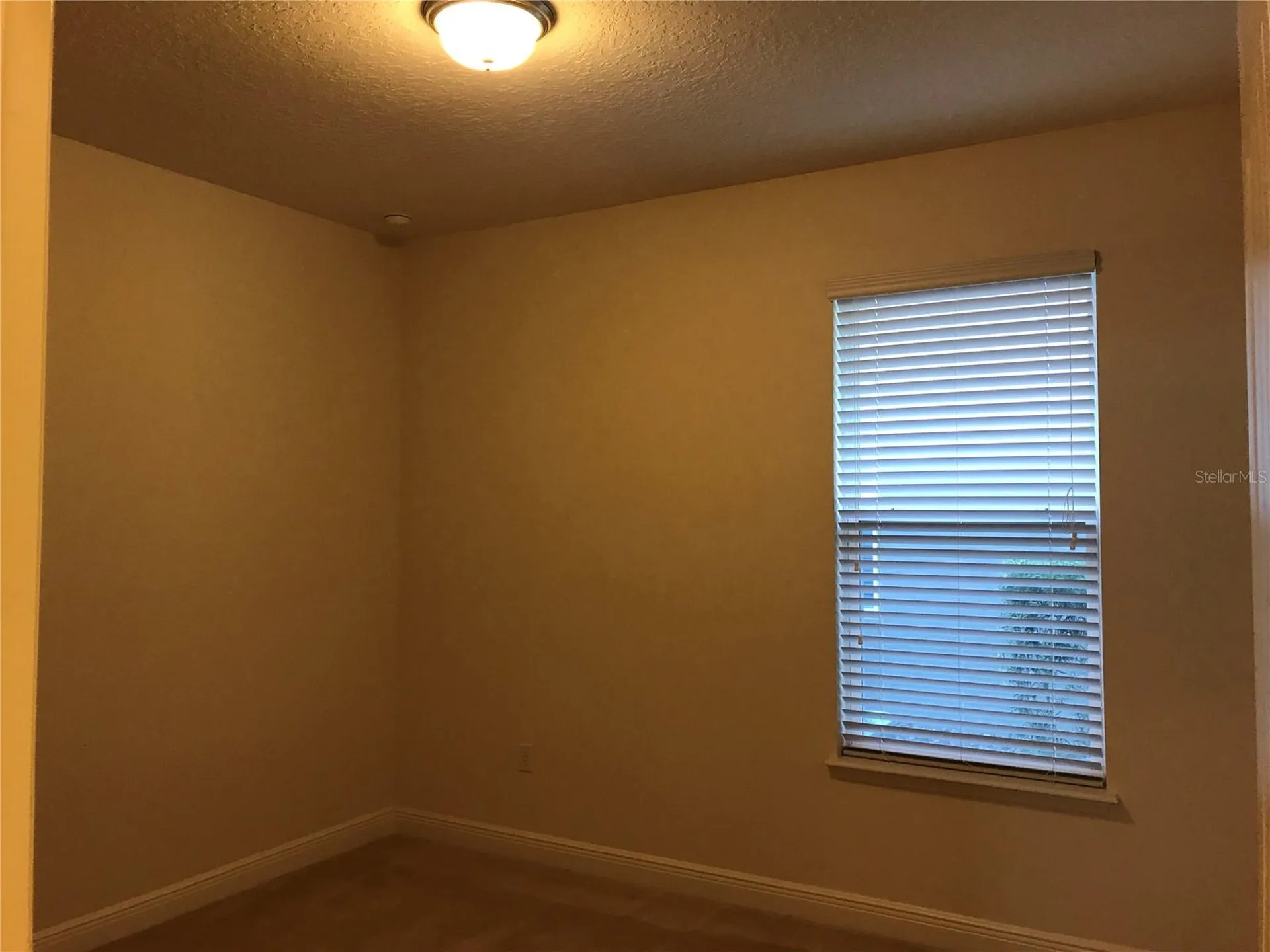 14640 Spotted Sandpiper Boulevard Winter Garden FL 34787