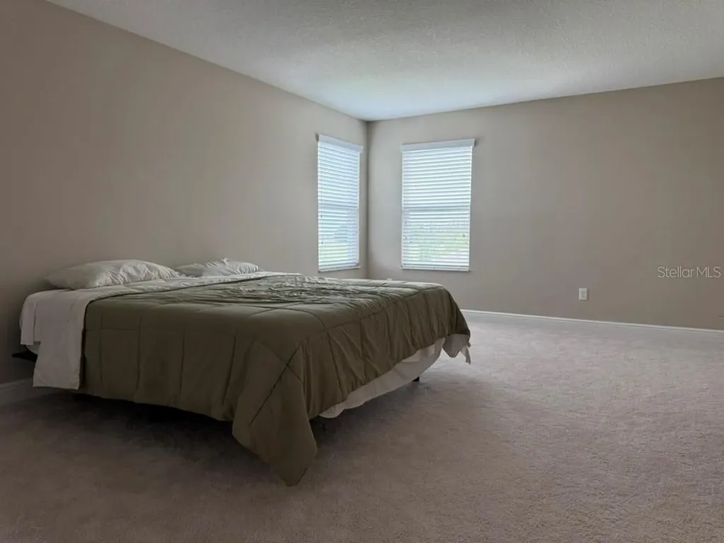 7749 Bronze Oak Drive Wesley Chapel FL 33545