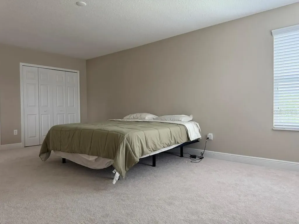 7749 Bronze Oak Drive Wesley Chapel FL 33545