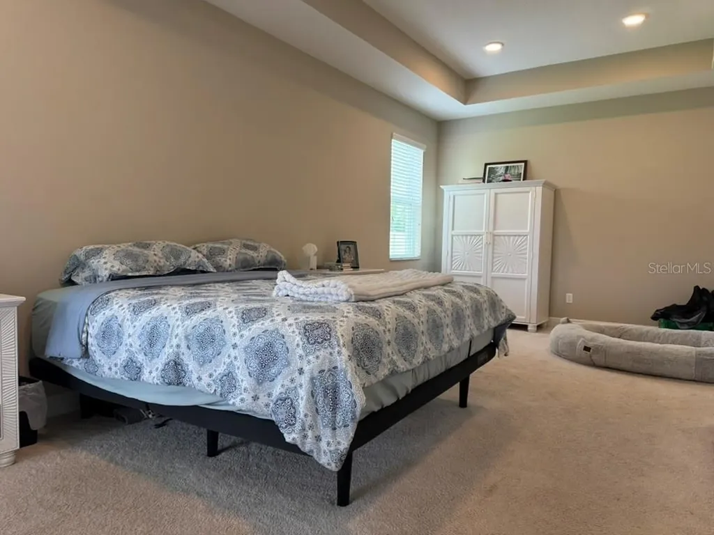 7749 Bronze Oak Drive Wesley Chapel FL 33545