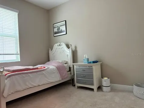 7749 Bronze Oak Drive Wesley Chapel FL 33545