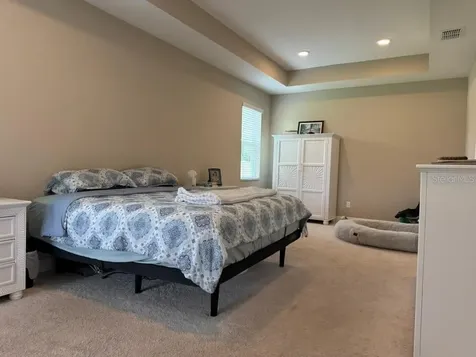 7749 Bronze Oak Drive Wesley Chapel FL 33545