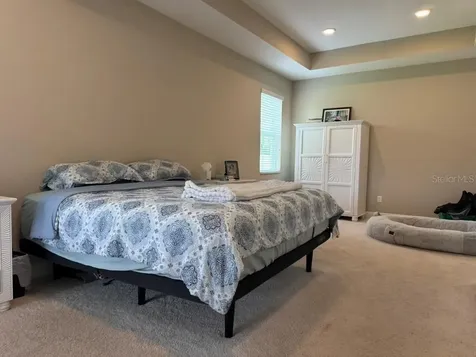 7749 Bronze Oak Drive Wesley Chapel FL 33545