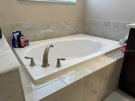 7749 Bronze Oak Drive Wesley Chapel FL 33545