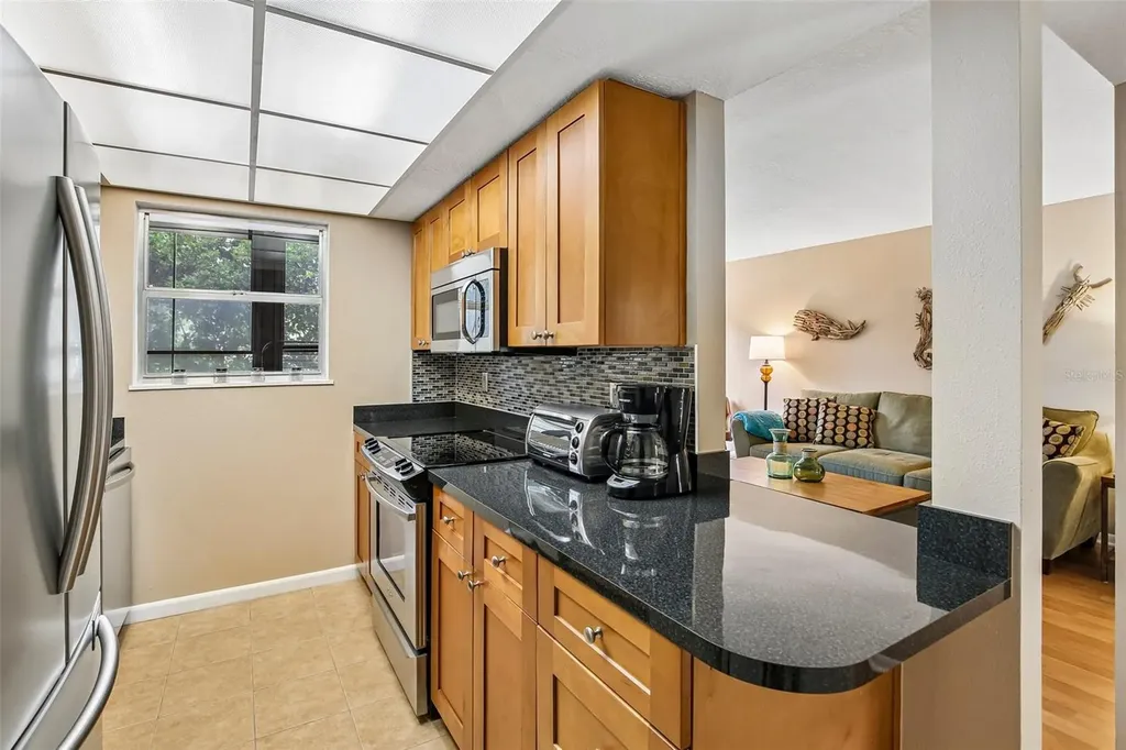 505 Windrush Bay Drive Tarpon Springs FL 34689