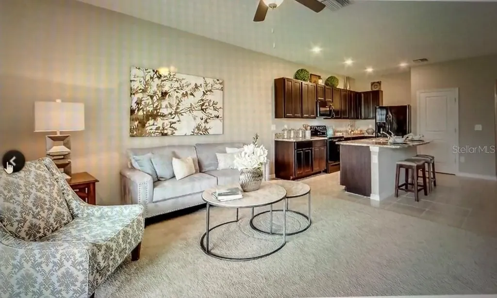 6936 Breezy Palm Drive Riverview FL 33578