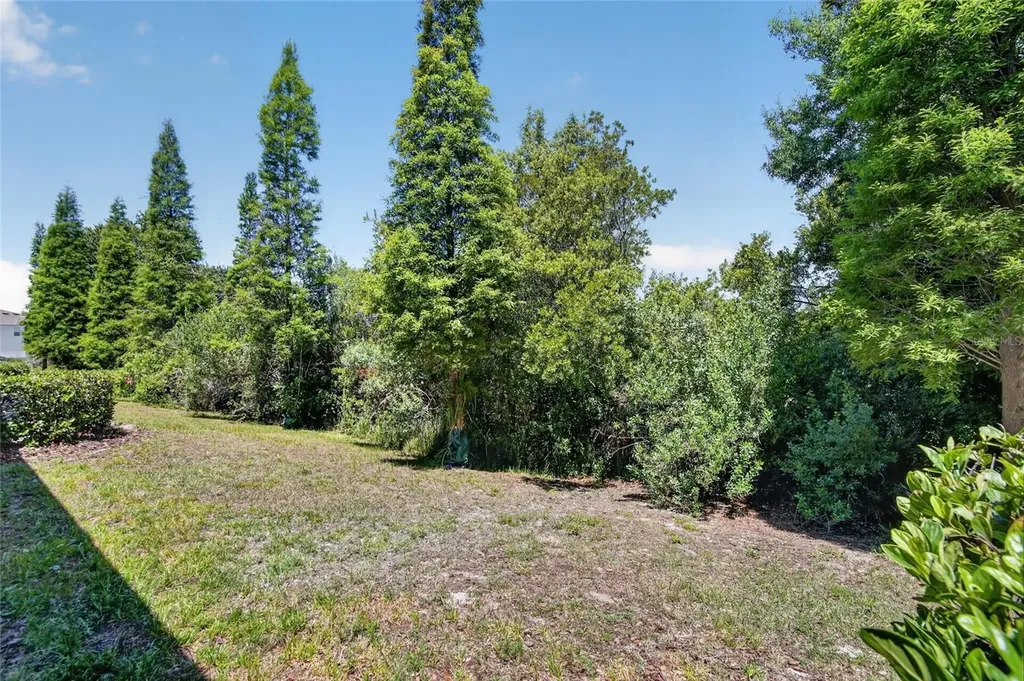 6936 Breezy Palm Drive Riverview FL 33578