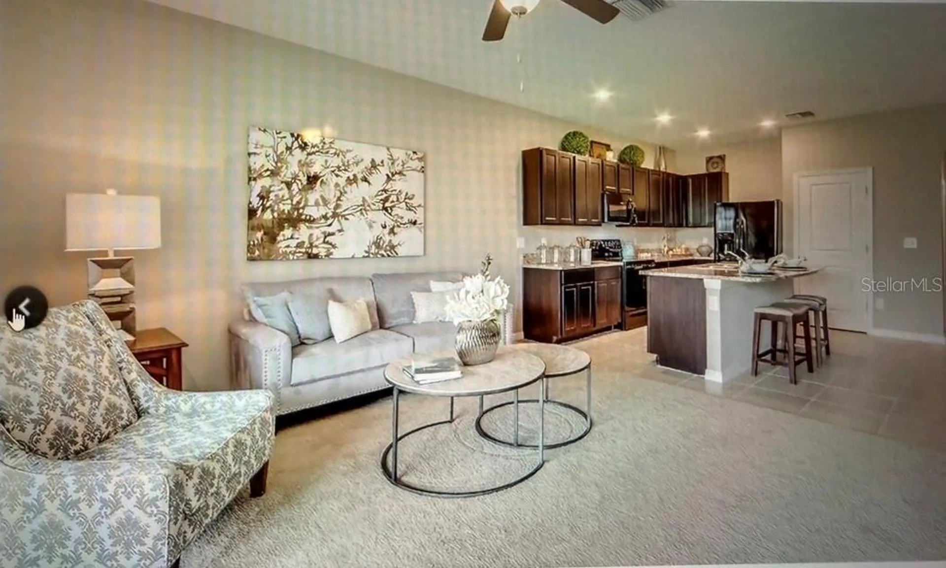 6936 Breezy Palm Drive Riverview FL 33578
