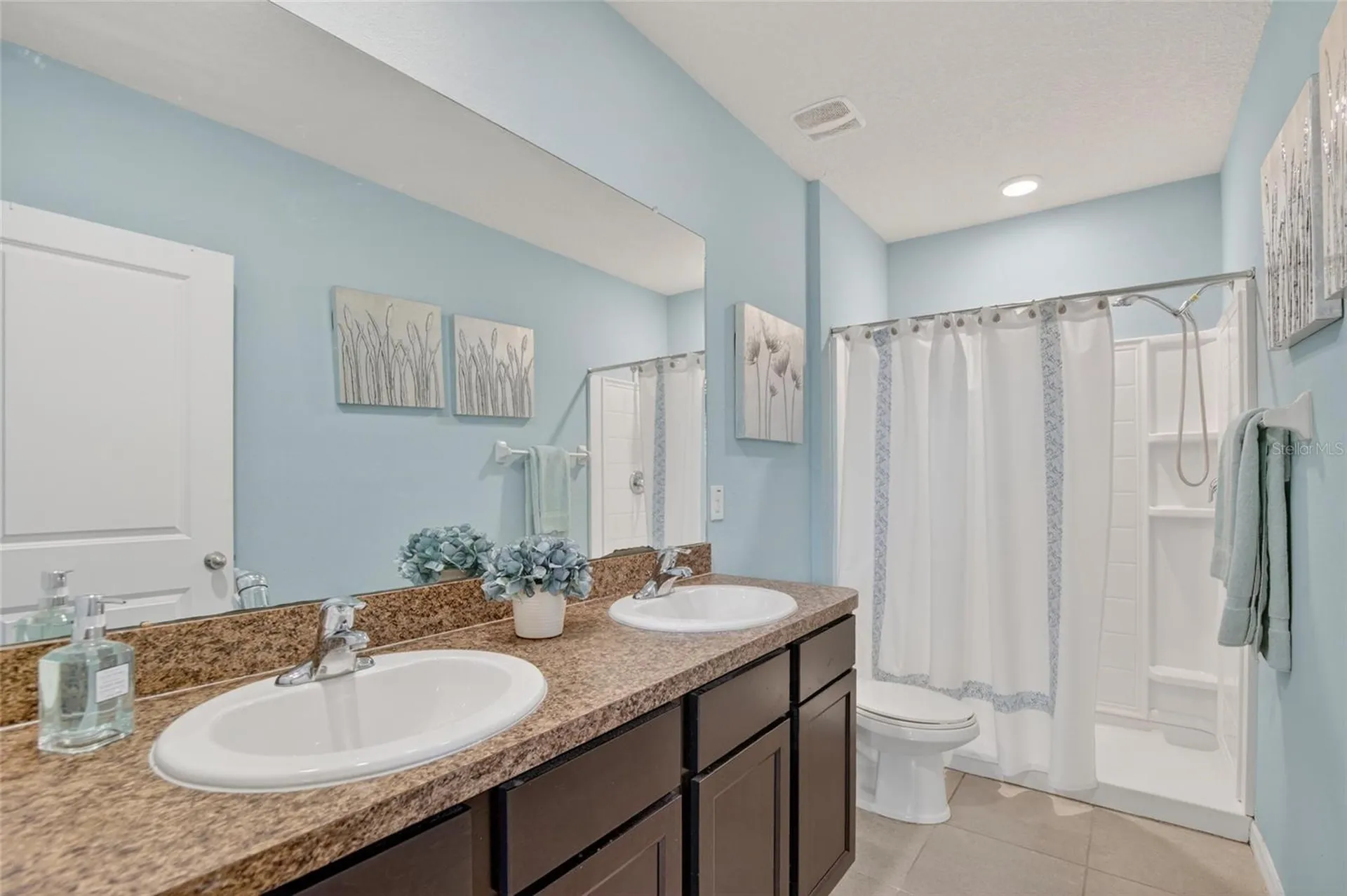 6936 Breezy Palm Drive Riverview FL 33578