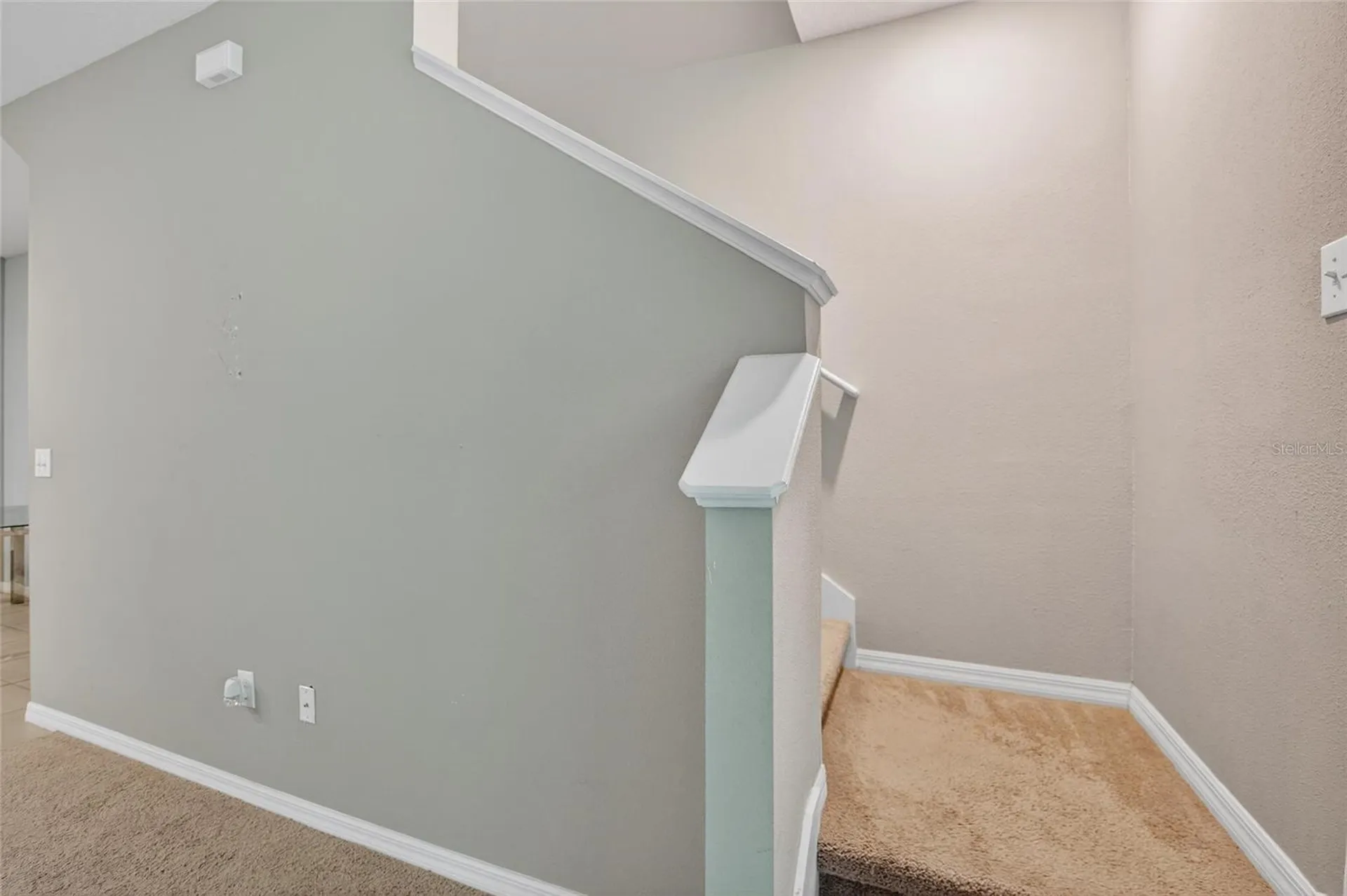 6936 Breezy Palm Drive Riverview FL 33578