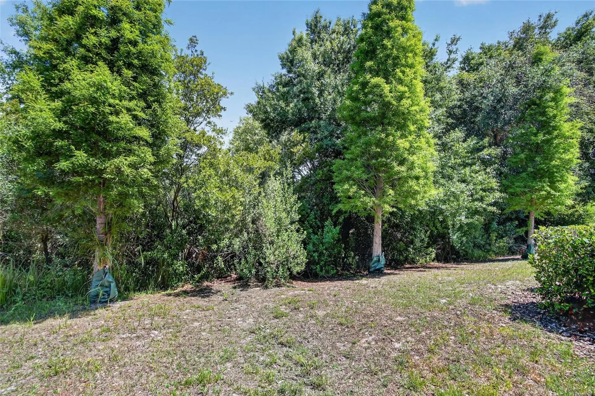 6936 Breezy Palm Drive Riverview FL 33578
