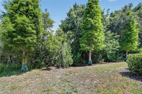 6936 Breezy Palm Drive Riverview FL 33578