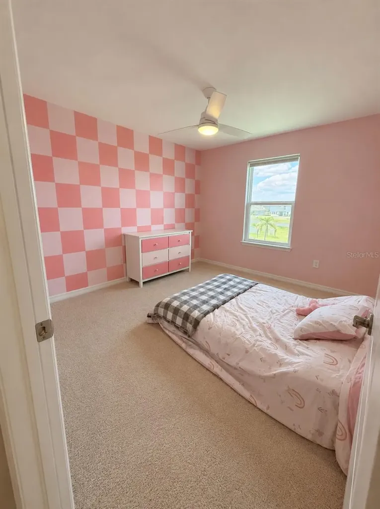 13521 Palmera Vista Drive Riverview FL 33579