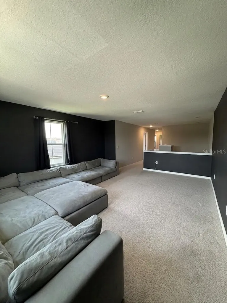 13521 Palmera Vista Drive Riverview FL 33579