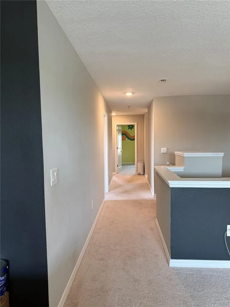 13521 Palmera Vista Drive Riverview FL 33579