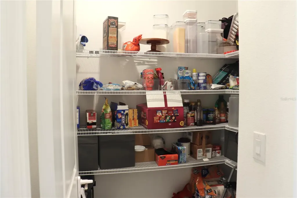 13521 Palmera Vista Drive Riverview FL 33579