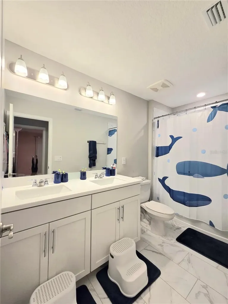 13521 Palmera Vista Drive Riverview FL 33579