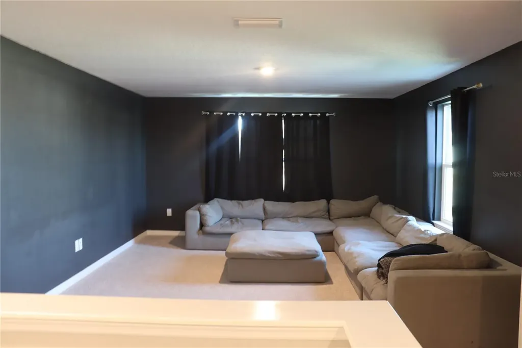 13521 Palmera Vista Drive Riverview FL 33579
