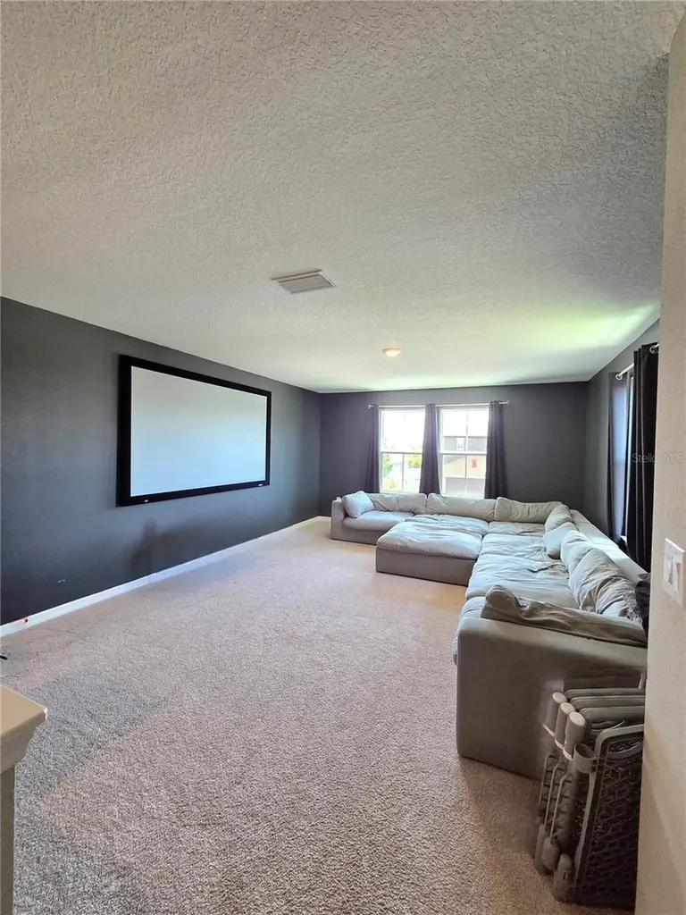 13521 Palmera Vista Drive Riverview FL 33579