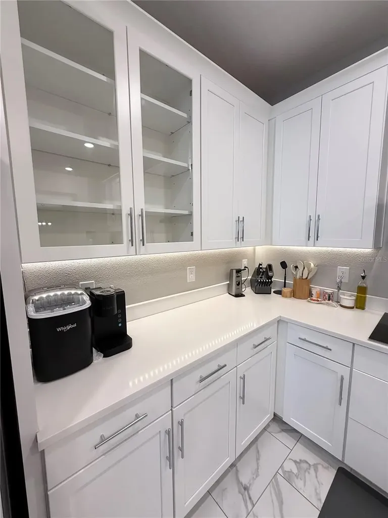 13521 Palmera Vista Drive Riverview FL 33579