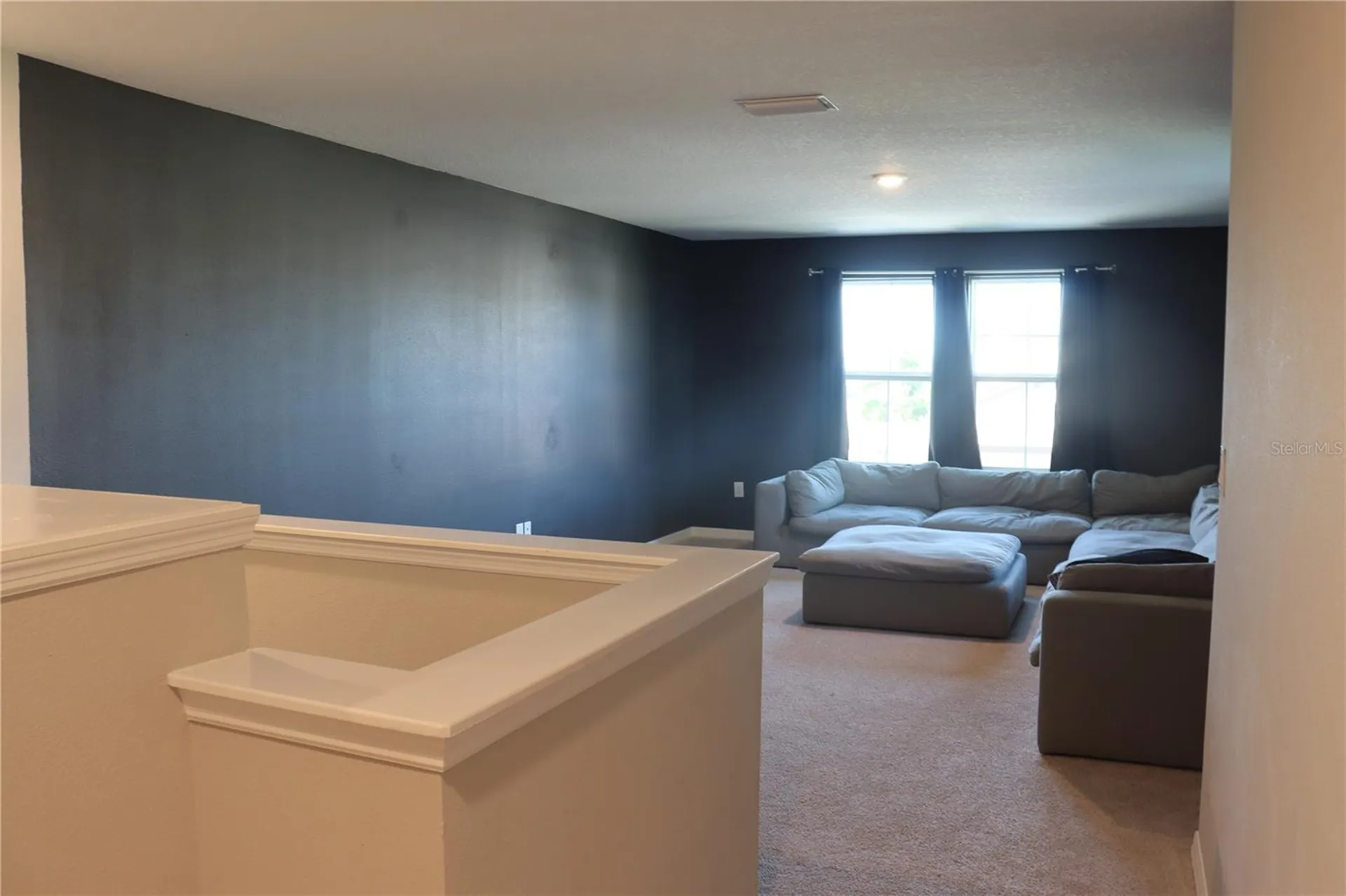 13521 Palmera Vista Drive Riverview FL 33579