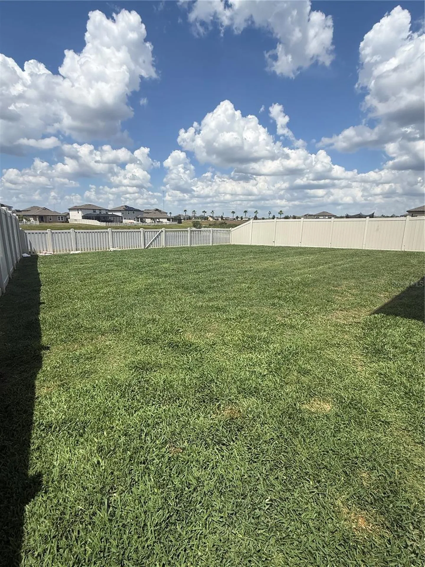 13521 Palmera Vista Drive Riverview FL 33579