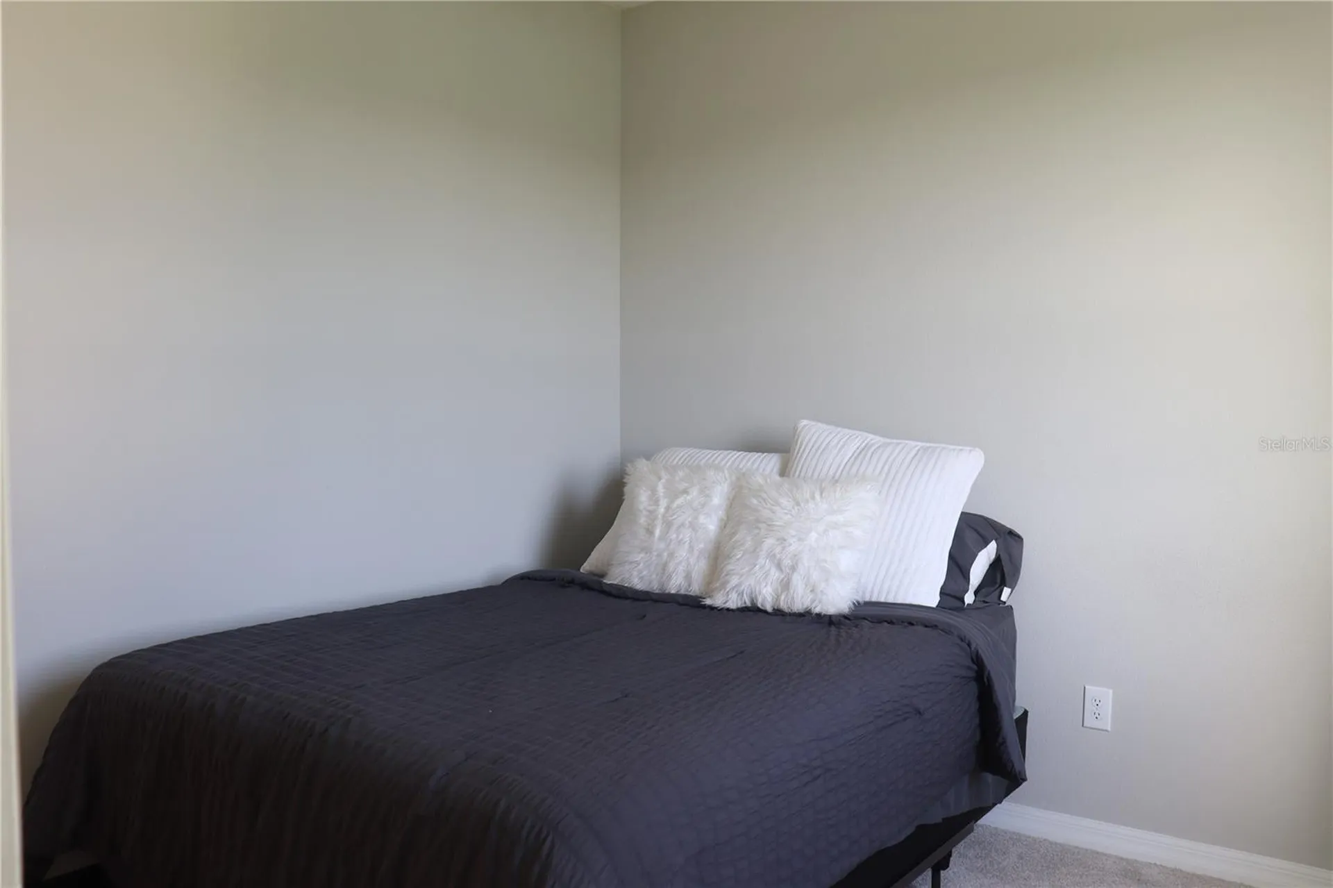 13521 Palmera Vista Drive Riverview FL 33579