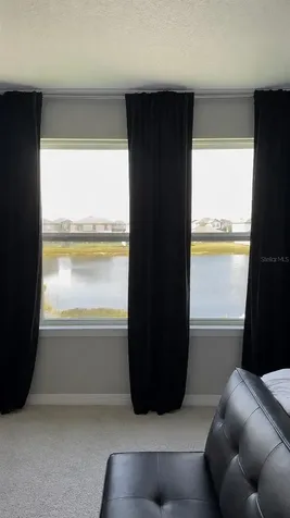 13521 Palmera Vista Drive Riverview FL 33579
