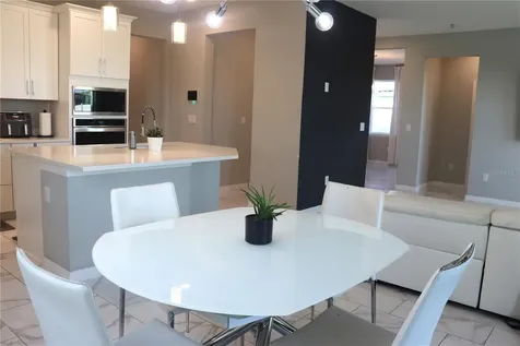13521 Palmera Vista Drive Riverview FL 33579