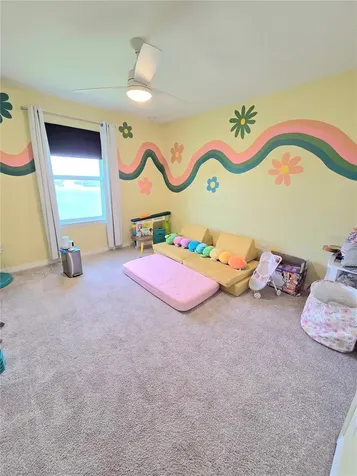 13521 Palmera Vista Drive Riverview FL 33579
